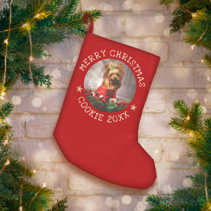 Meia De Natal Pequena Foto personalizada Feliz Cachorro de Natal Pet