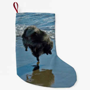 Meia De Natal Pequena Fotografia de Balé Keeshond - Arte de Cão Origin