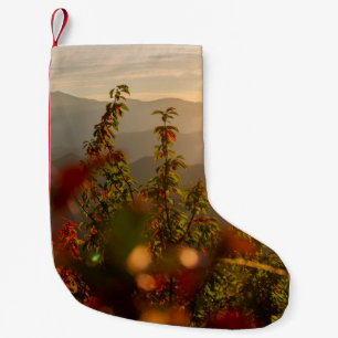 MEIA DE NATAL PEQUENA FOTOGRAFIA NATUREZA DE ÁRVORES VERDES COM SOBREPO