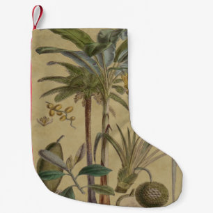 Meia De Natal Pequena Fruta de Palma Tropical Antica Botânica