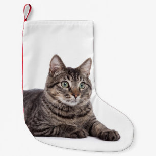 Meia De Natal Pequena Gato