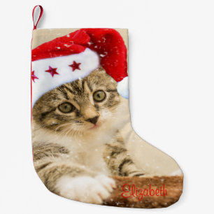 Meia De Natal Pequena Gato Caprichoso Fofo Com Chapéu de Papai Noel