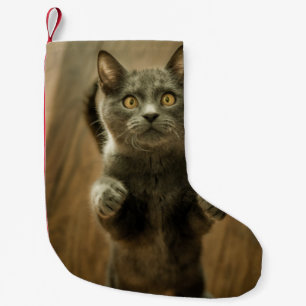 Meia De Natal Pequena GATO DE cinza EM DOIS PÉS