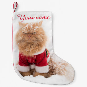 Meia De Natal Pequena Gato persa com o equipamento do Natal na neve