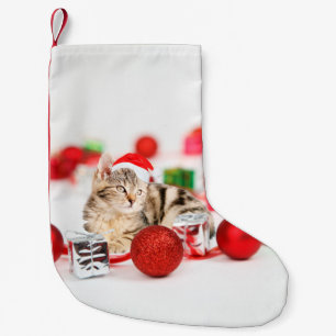 Meia De Natal Pequena Gato usando enfeite de Natal chapéu vermelho de Pa