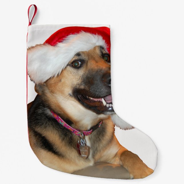 Meia De Natal Pequena German shepherd Santa Claus (Frente)