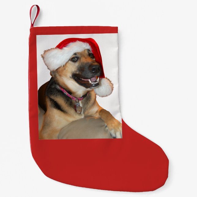 Meia De Natal Pequena German shepherd Santa Claus (Frente)