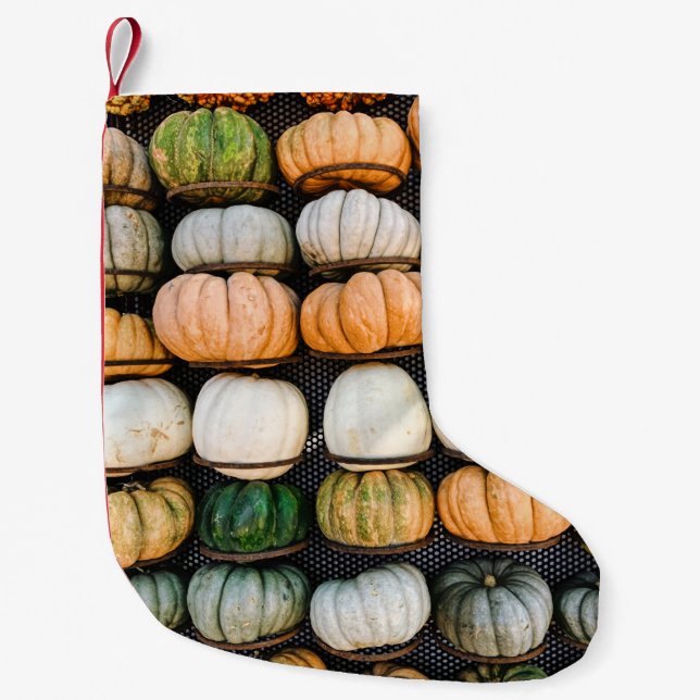Meia De Natal Pequena Gráfico de abóboras laranja e verde (Frente)