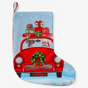 Meia De Natal Pequena Grande Cão Dinamarquês no Carro com Papai Noel 