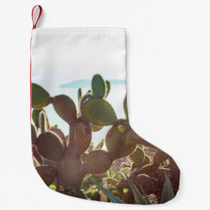 Meia De Natal Pequena Leaves of cactus. Plant outdoor with flare light i