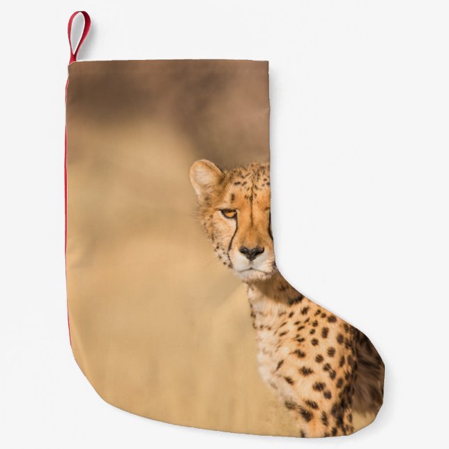MEIA DE NATAL PEQUENA LEOPARD PORTRAIT (Frente)