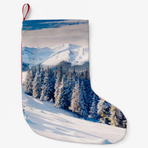 Meia De Natal Pequena Linda paisagem de inverno com árvores cobertas de