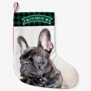 Meia De Natal Pequena Lindo Xadrez Verde Festivo Foto Personalizada Pet 