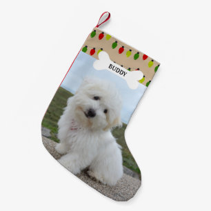 Meia De Natal Pequena Luzes Vermelhas e Verdes Osso de Cachorro Foto de 