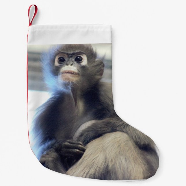Meia De Natal Pequena Macaco (Frente)