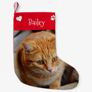Meia De Natal Pequena Modelo de foto de Natal personalizado para animais