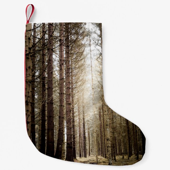 MEIA DE NATAL PEQUENA NA FLORESTA (Frente)