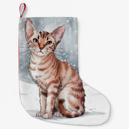 Meia De Natal Pequena Natal Abyssinian Cat Stocks