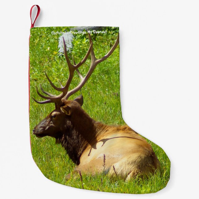 Meia De Natal Pequena Natal Arrancando Meu Velho Deerest (Frente)