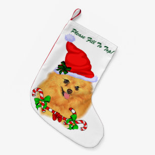 Meia De Natal Pequena Natal de Pomeranian