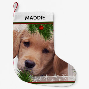 Meia De Natal Pequena Natal para o Ouro - Cão Cachorro Cachorro