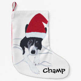 Meia De Natal Pequena Nome Border Collie Papais noeis Cachorro Escória d