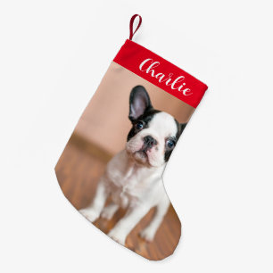 Meia De Natal Pequena Nome Personalizado de Foto do Cão Verde Vermelho