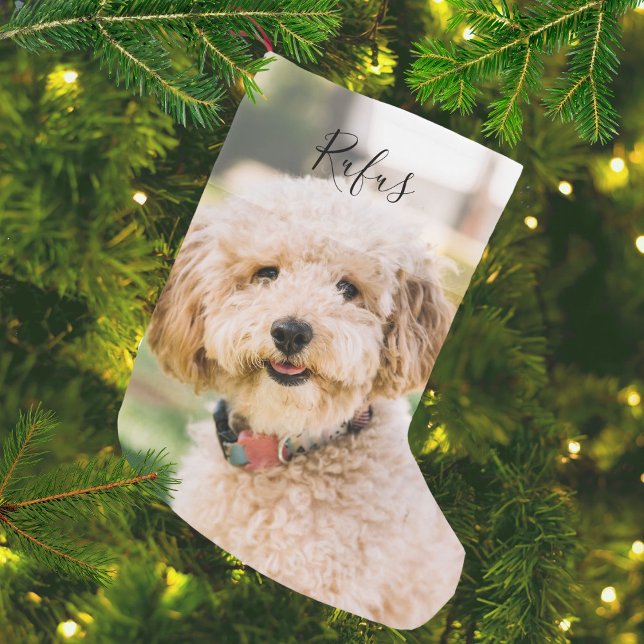 Meia De Natal Pequena Nome personalizado e foto (Personalized Pet Name and Photo Small Christmas Stocking)