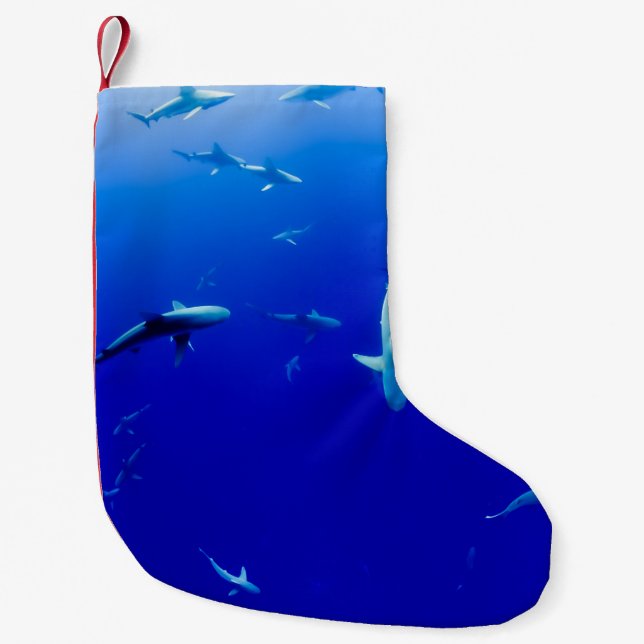 MEIA DE NATAL PEQUENA O MAR (Frente)