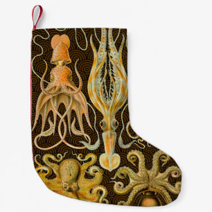 Meia De Natal Pequena Octopus de Vintage Cephalopods