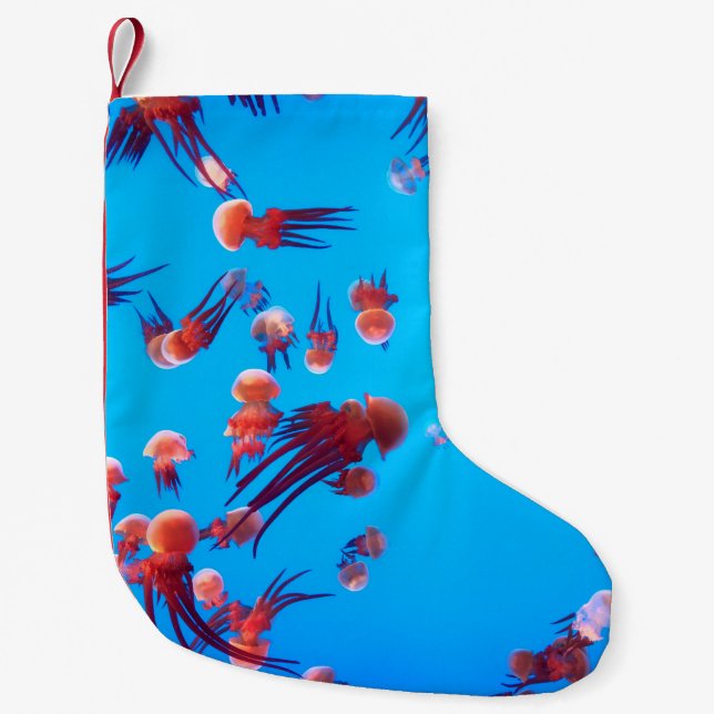 MEIA DE NATAL PEQUENA ORANGE JELLY FISH (Frente)