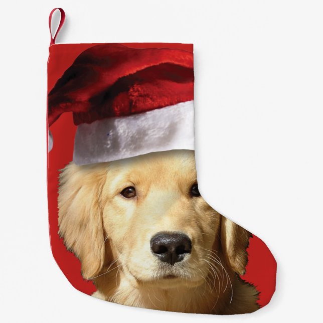 Meia De Natal Pequena Ouro Retriever Santa Claus (Frente)