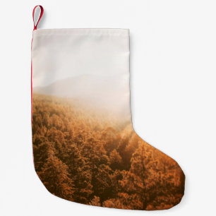 MEIA DE NATAL PEQUENA OURO SON SOBRE UMA FLORESTA