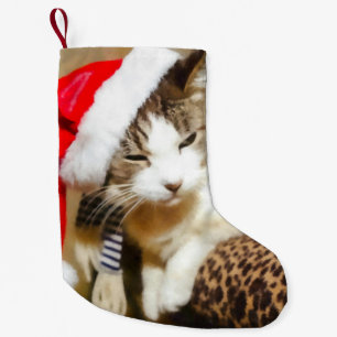 Meia De Natal Pequena Papais noeis Gatinho natal