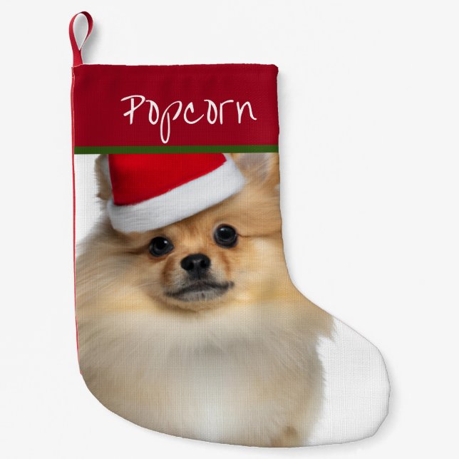 Meia De Natal Pequena Papais noeis Pomeraniana - Pequena capacidade nata (Frente)