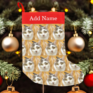 Meia De Natal Pequena Personalização de Foto e Nome de Pet Personaliza