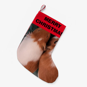 Meia De Natal Pequena Pestanejo de porco