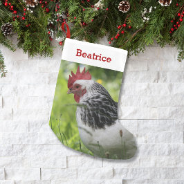 Meia De Natal Pequena Pet Chicken Lover Foto e Nome Personalizados