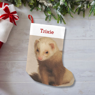 Meia De Natal Pequena Pet Ferret Lover Foto e Nome Personalizado