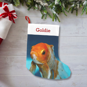 Meia De Natal Pequena Pet Fish Lover Foto e Nome Personalizado