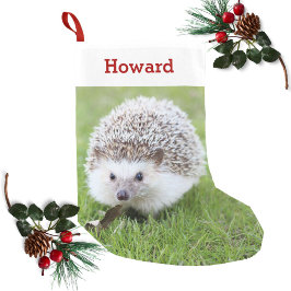 Meia De Natal Pequena Pet Hedgehog Lover Proprietário Foto e Nome Person
