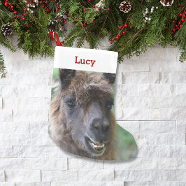Meia De Natal Pequena Pet Llama Lover Proprietário Foto e Nome Personali