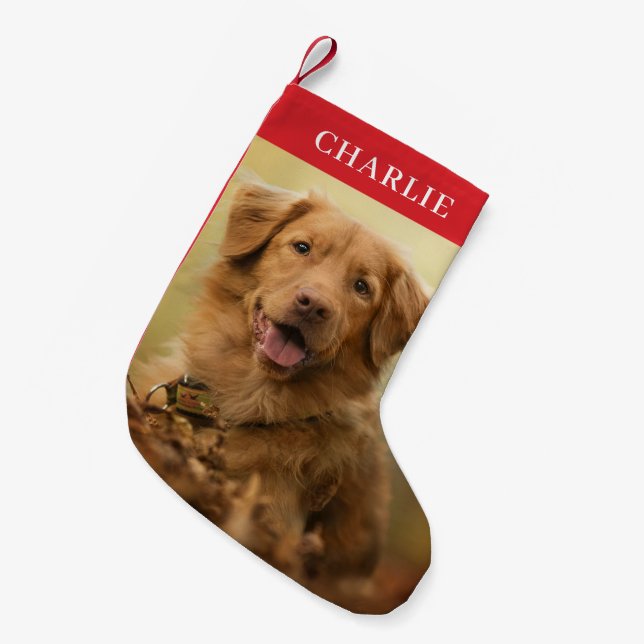 Meia De Natal Pequena Pet Personalizado de Foto de Cão (Frente (Pendurada))