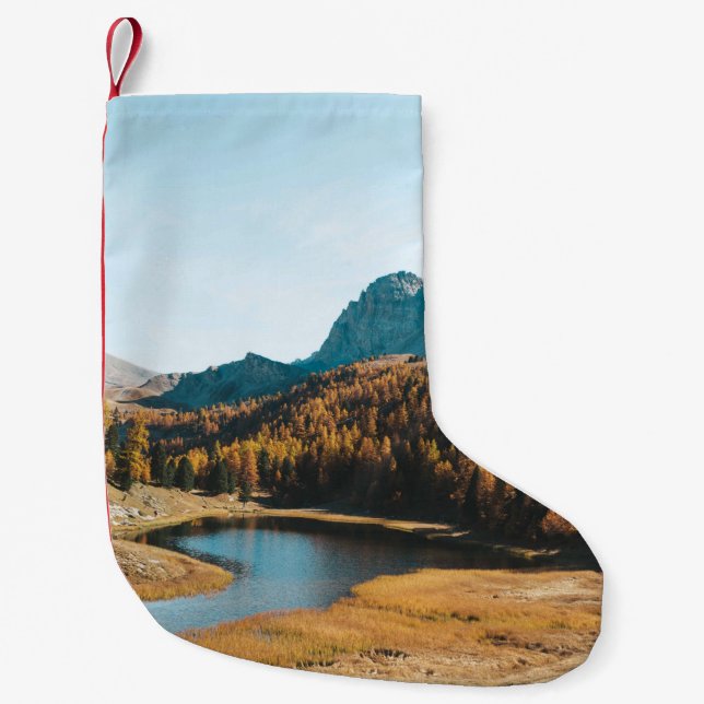 MEIA DE NATAL PEQUENA PINAS ÁRVORES PERTO DO LAGO (Frente)