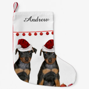 Meia De Natal Pequena Pinscher diminuto