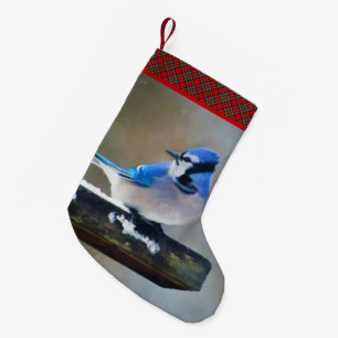 Meia De Natal Pequena Pintura Blue Jay - Arte Original para Pássaros
