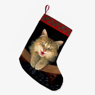 Meia De Natal Pequena Pintura De Gatos Loucos - Arte De Gato Original Bo