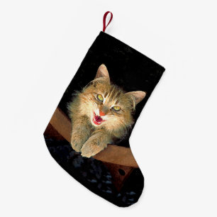 Meia De Natal Pequena Pintura De Gatos Loucos - Arte De Gato Original Bo