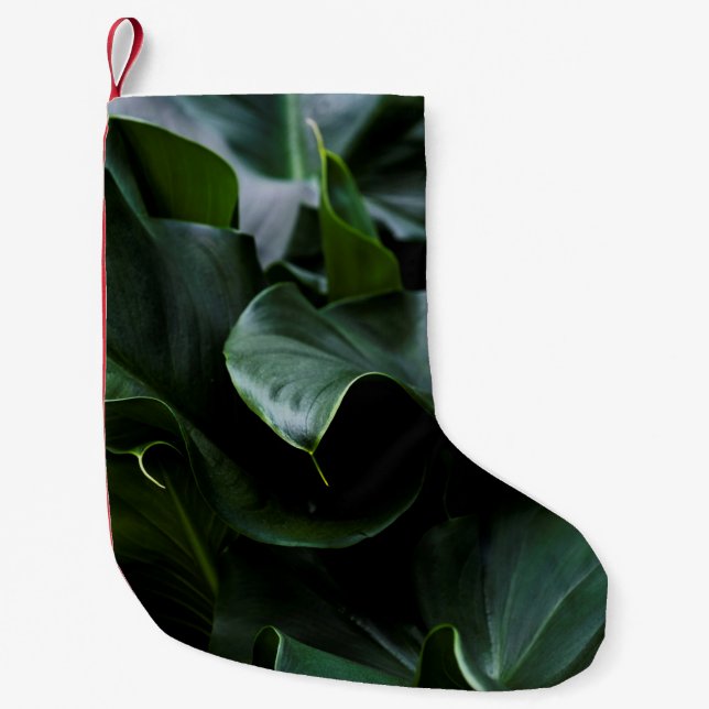 MEIA DE NATAL PEQUENA PLANTA VERDE (Frente)