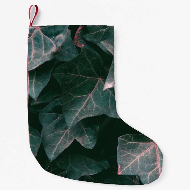 MEIA DE NATAL PEQUENA PLANTA VERDE (Frente)
